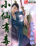小仙有毒小說封面